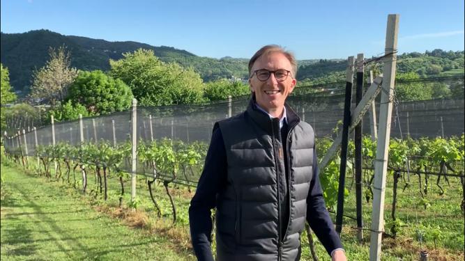 Produzione Paolo Basso Paolo Basso Wine Sagl